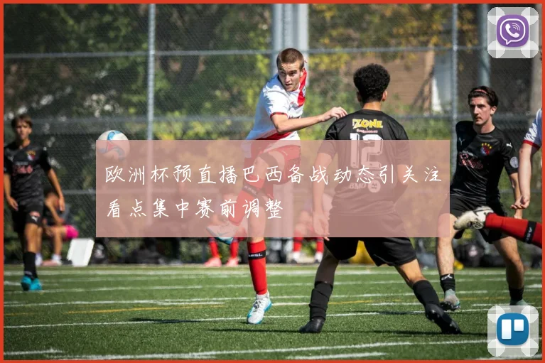 欧洲杯预直播巴西备战动态引关注看点集中赛前调整