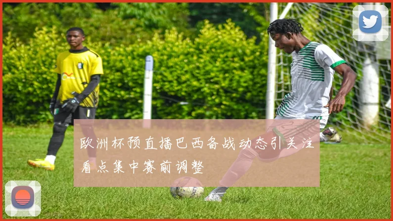 欧洲杯预直播巴西备战动态引关注看点集中赛前调整